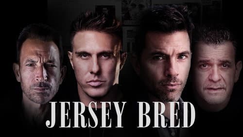 Jersey Bred still