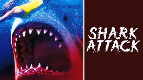 Shark Attack still