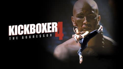 Kickboxer 4: The Aggressor still