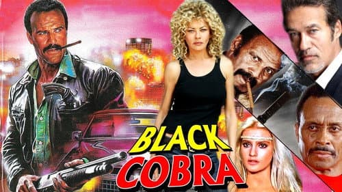 The Black Cobra still