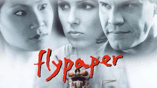 Flypaper still