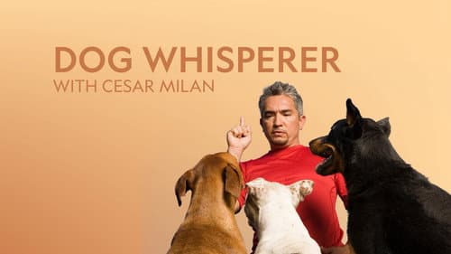 Dog Whisperer still