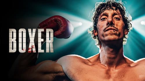Boxer still