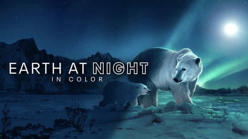 Earth at Night in Colour still