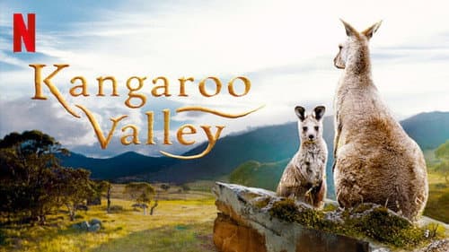 Kangaroo Valley still