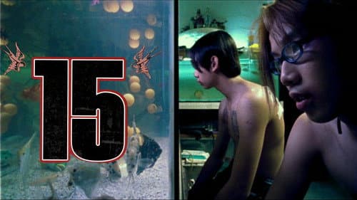 15 still