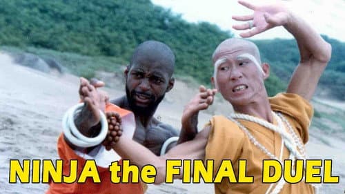 Ninja the Final Duel still
