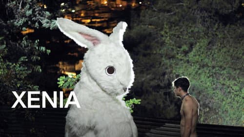 Xenia still