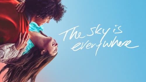 The Sky Is Everywhere still