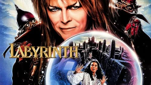 Labyrinth still