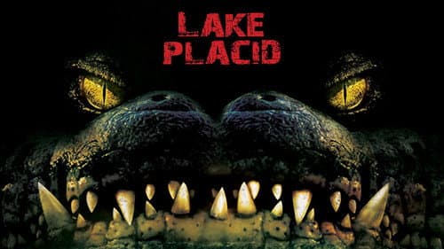 Lake Placid still