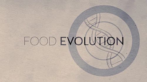 Food Evolution still