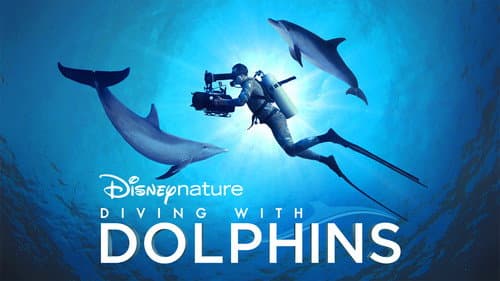 Diving with Dolphins still
