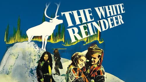 The White Reindeer still