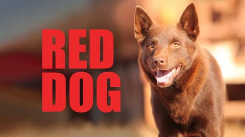 Red Dog still