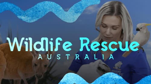 Wildlife Rescue Australia still