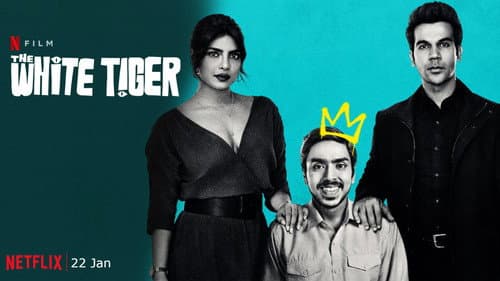 The White Tiger still