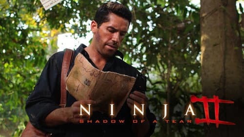 Ninja: Shadow of a Tear still