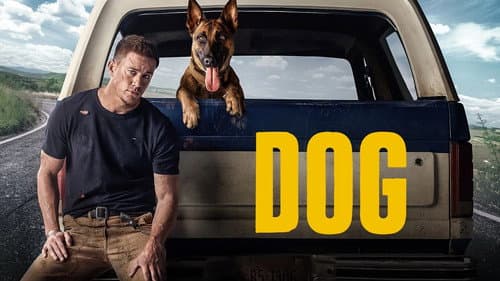 Dog still