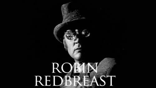 Robin Redbreast still