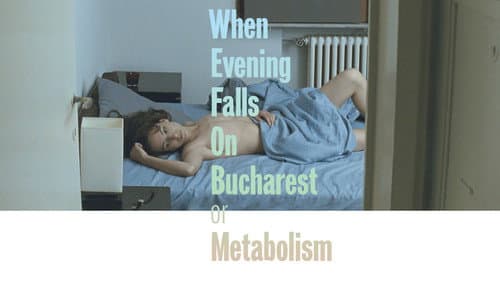 When Evening Falls on Bucharest or Metabolism still
