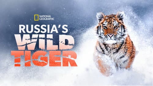 Russia's Wild Tiger still