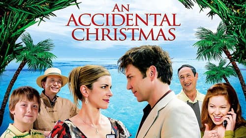 An Accidental Christmas still