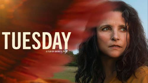 Tuesday still