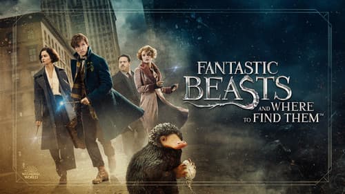 Fantastic Beasts and Where to Find Them still