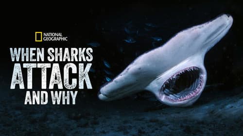 When Sharks Attack... and Why still