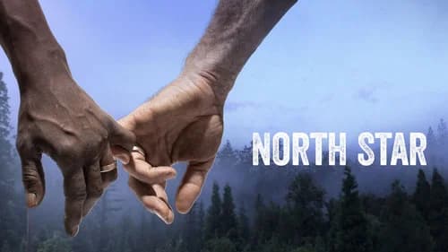North Star still