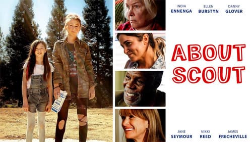 About Scout still