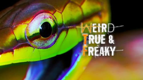 Weird, True & Freaky still