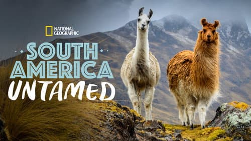 South America Untamed still