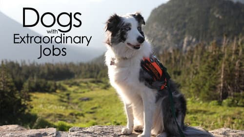 Dogs with Extraordinary Jobs still