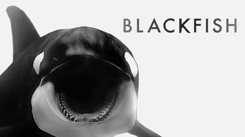 Blackfish still