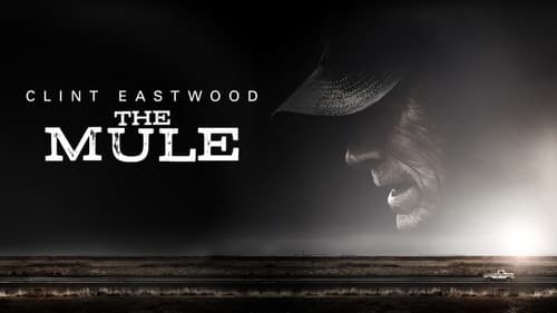 The Mule still