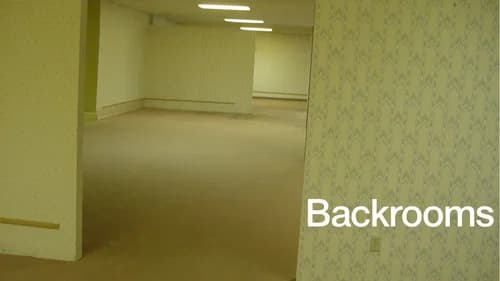 Backrooms still