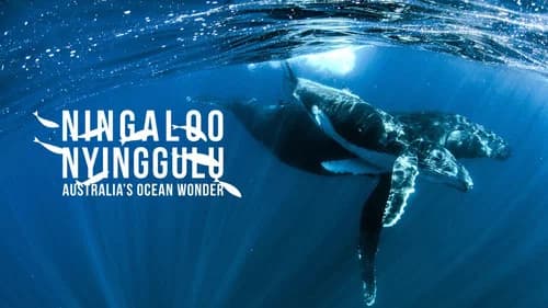 Ningaloo Nyinggulu still