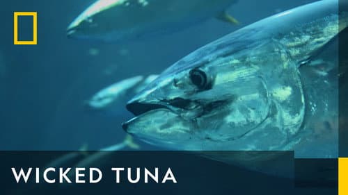 Wicked Tuna still