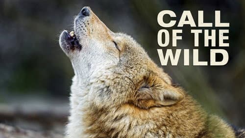 The Call of the Wild still
