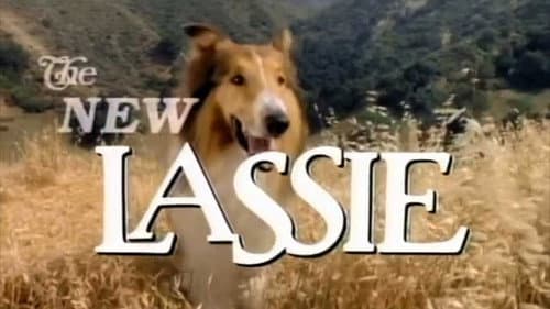 The New Lassie still