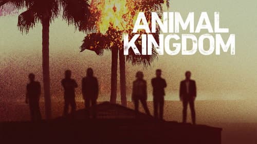 Animal Kingdom still