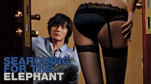 Searching for the Elephant still