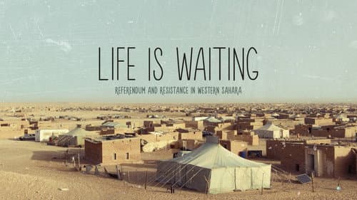 Life is waiting: referendum and resistance in Western Sahara still