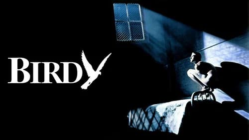 Birdy still