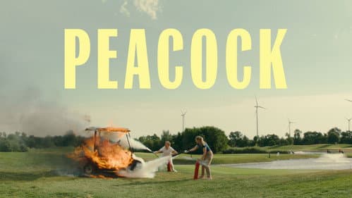 Peacock still