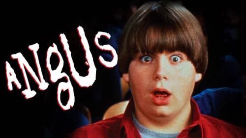 Angus still