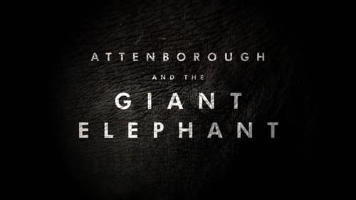 Attenborough and the Giant Elephant still