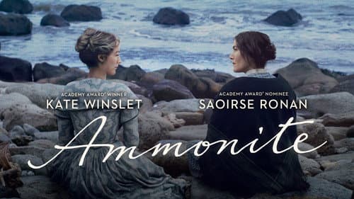 Ammonite still
